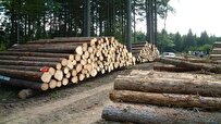 موانع افزایش کیفیت و حفظ بازار رقابت صنایع چوبی برداشته شود